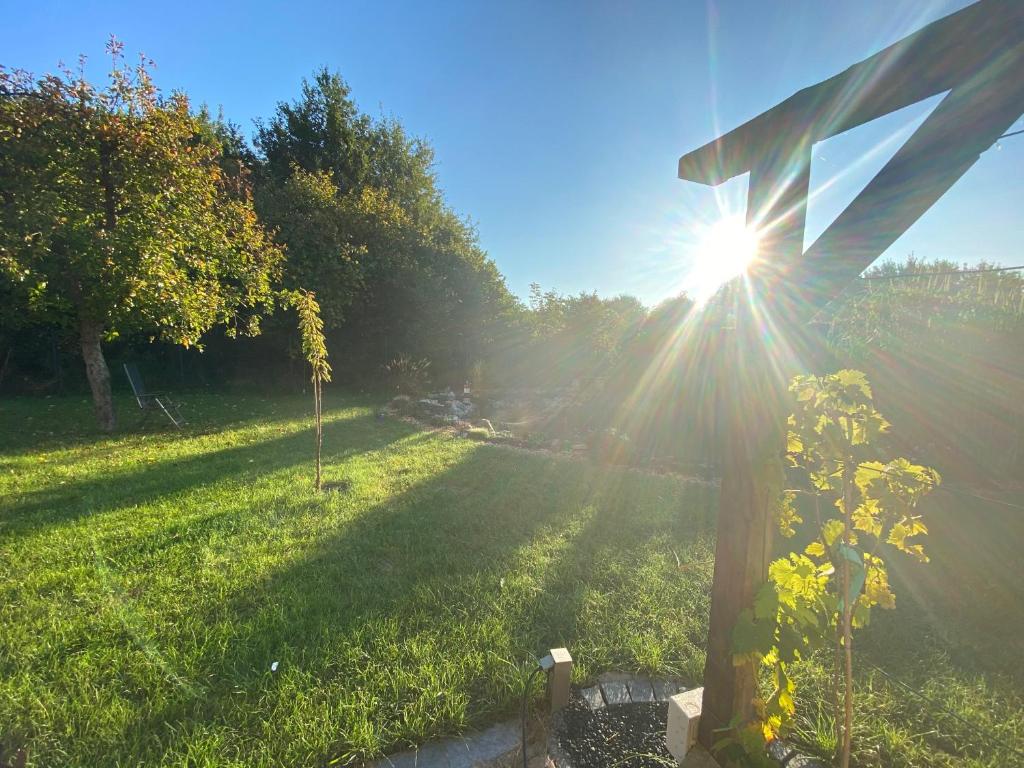 Der Garten hat einen schönen Teich.