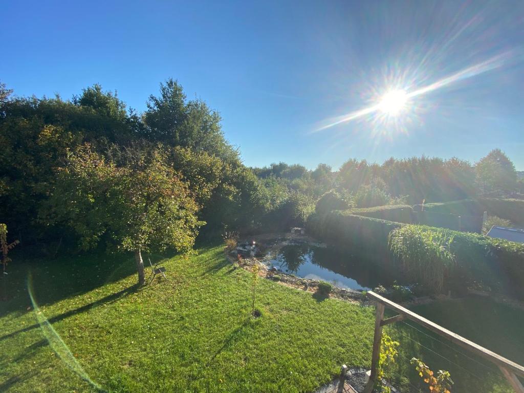 Der Garten ist von Büschen und Hecken umsäumt, die Sichtschutz bieten.