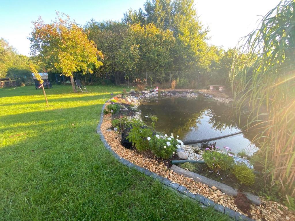 Am Teich steht eine kleine Bank für gemütliche Erholungspausen.